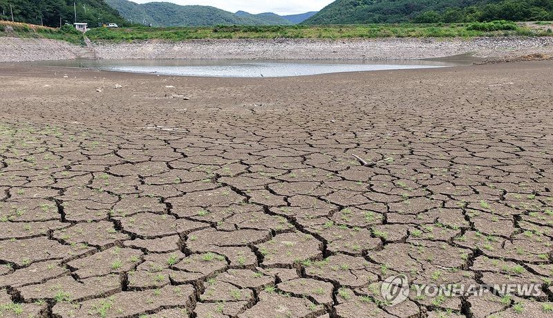 가뭄에 갈라진 밀양 웅동저수지. 연합뉴스