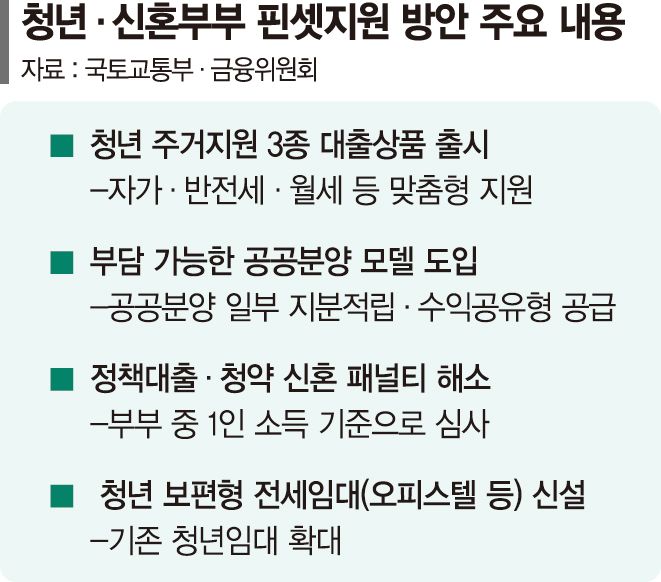 월세 수준으로 내 집 마련의 기회... 청년 4억이하 非아파트 매수 지원[8·13 부동산 대책]