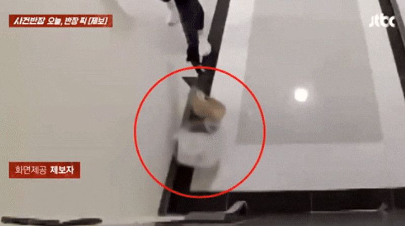 사진=JTBC 사건반장 갈무리