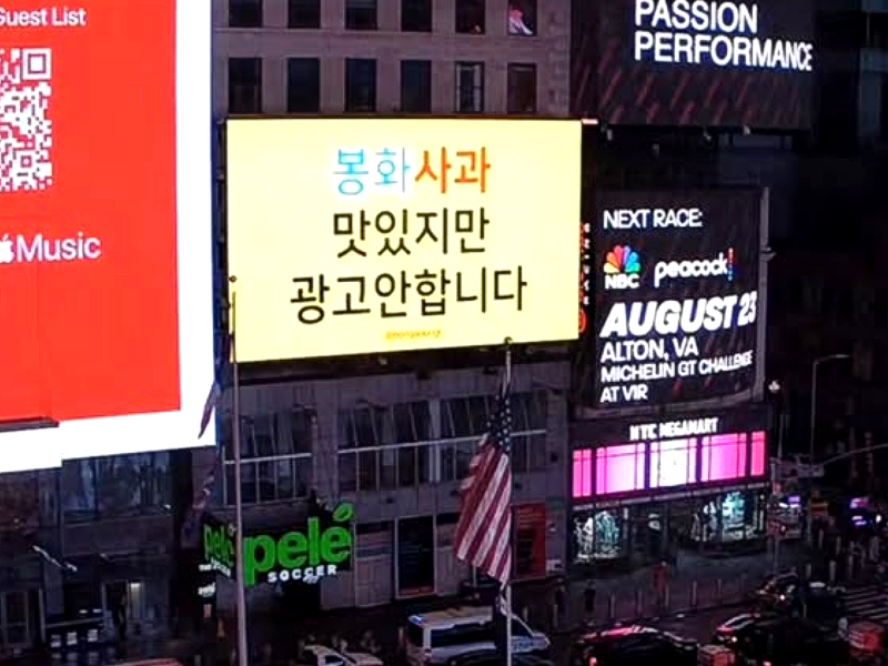 미국 뉴욕 타임스퀘어 전광판에 '봉화사과 맛있지만 광고 안 합니다' 라는 문구가 걸려있다. 2026.08.14. /사진=봉화군 봉숭이 주무관 인스타그램