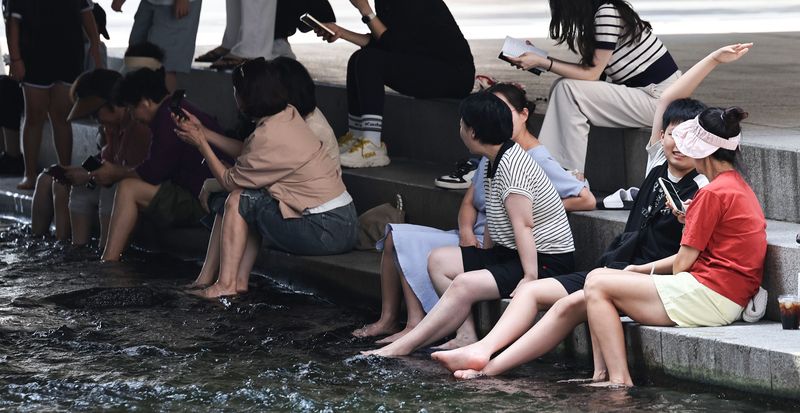 뉴스1