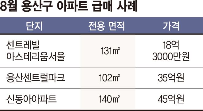 "세금도 벅찬데 공원도 없어질 판"… 급매 쏟아지는 용산 [8·13대책 후폭풍]