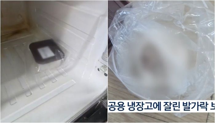 /사진=KBS 뉴스 캡처