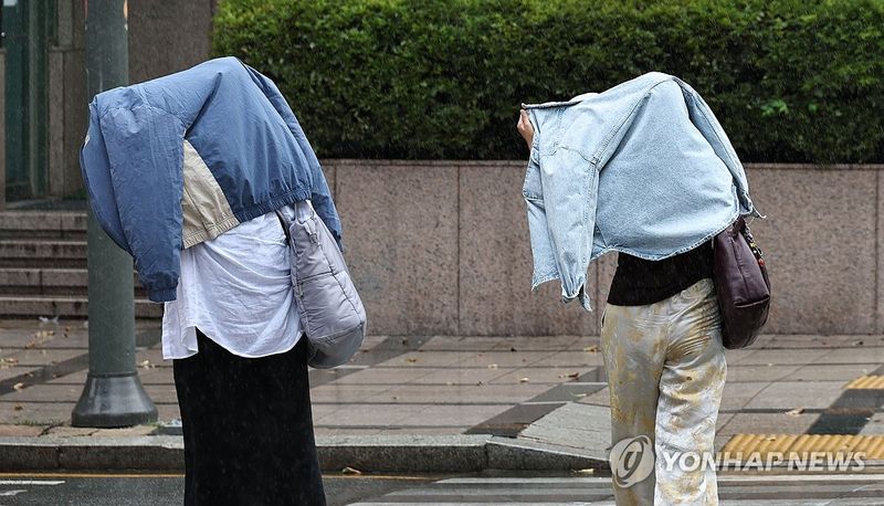 전국 한낮 체감 33도 '더위' …전라 영남 최대 60㎜ 소나기 [FN날씨]
