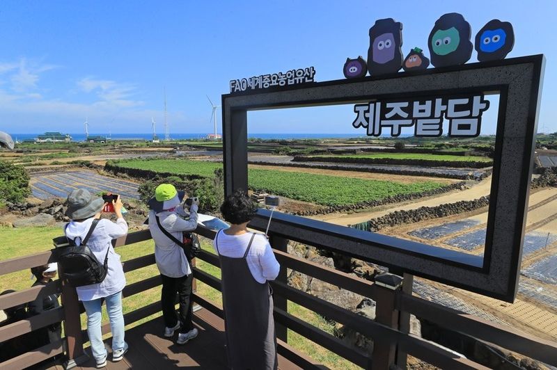 제주시 구좌읍 월정리에 조성된 제주밭담테마공원. 제주밭담은 2014년 국내 농업유산 가운데 처음으로 FAO 세계중요농업유산에 등재됐지만, 최근 조사에서는 공원 방문객의 48.6%가 월정리 해변이나 카페 등을 찾았다가 우연히 들른 것으로 나타났다. /사진=연합뉴스
