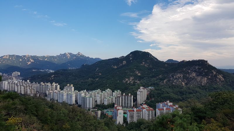 서울 서대문구 안산에서 바라본 도시숲 경관. 국립산림과학원 제공