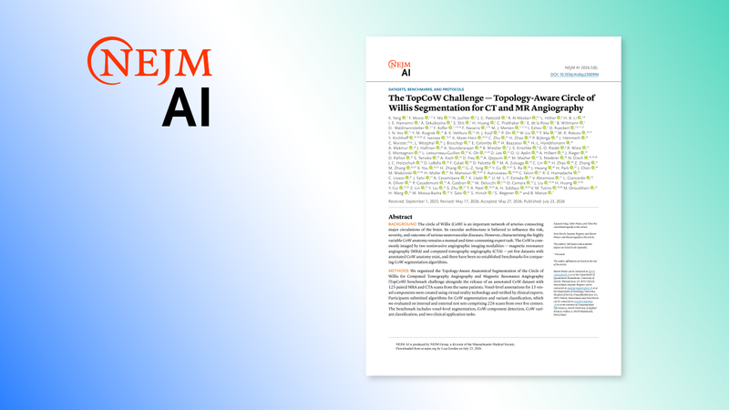 의료 AI 전문 국제학술지 'NEJM AI' 로고와 등재 논문. 딥노이드 제공.