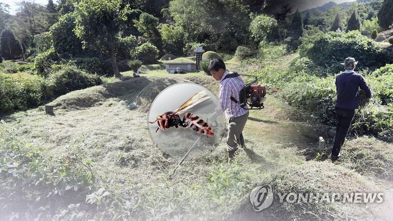 사진=연합뉴스