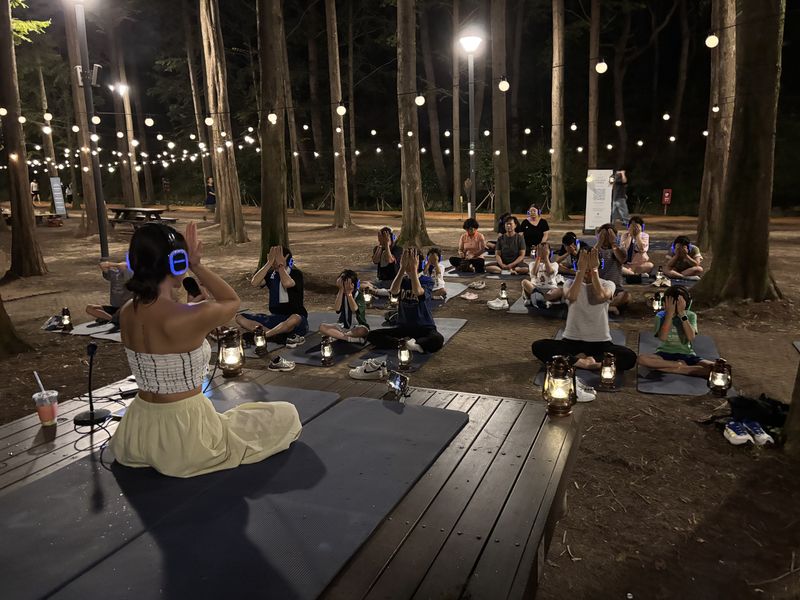 울산시·울산문화관광재단-한국관광공사가 지원하고 세르파파가 주관하는 별빛 웰니스 클래스가 울산시민들의 이색 피서로 각광받고 있다. 지난 8일 야간에 울산대공원 메타세쿼이아 숲에서 아이들과 어른들이 강사의 지도를 받아 요가를 하고 있다. 사진=최수상 기자