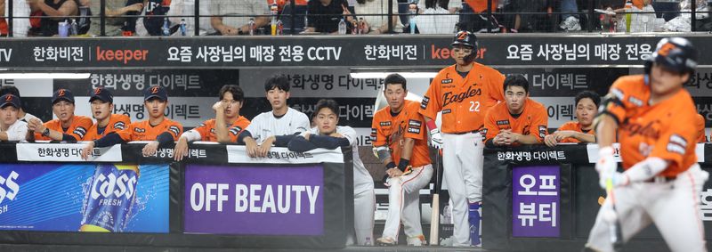 뉴스1