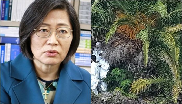/사진=연합뉴스