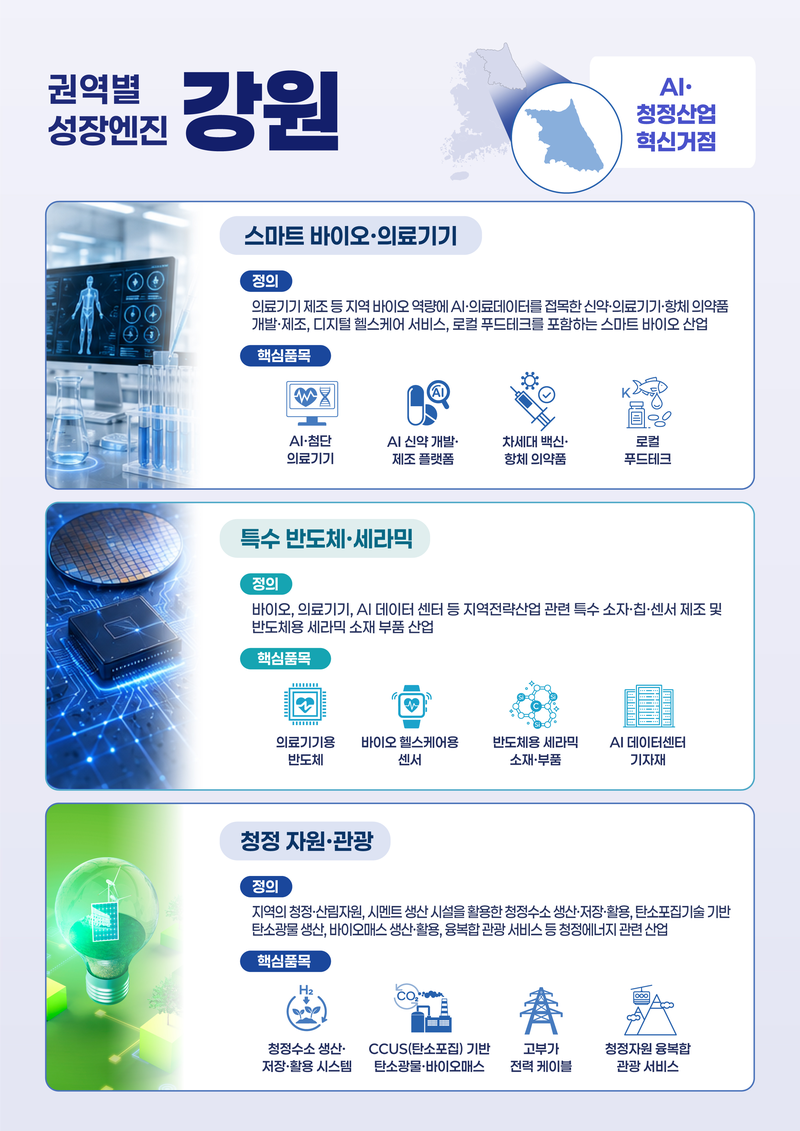 강원도 권역별 성장엔진 인포그래픽. 강원자치도 제공