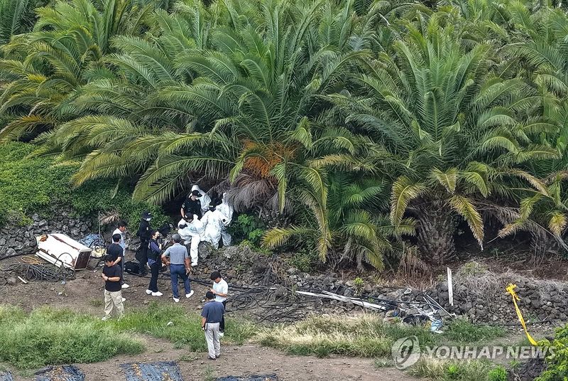(출처=연합뉴스)