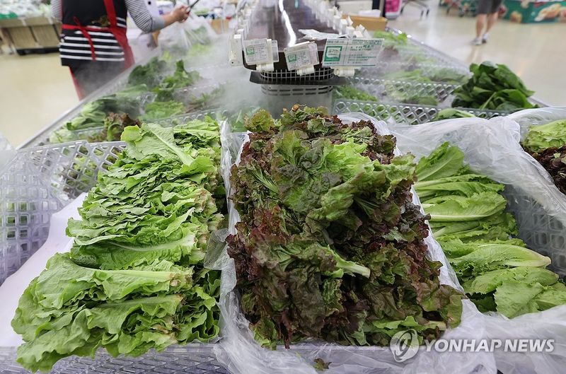 /사진=연합뉴스