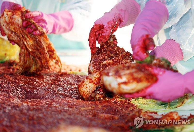 배추김치.연합뉴스
