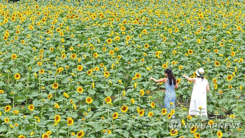 제주 찾은 관광객. /사진=연합뉴스