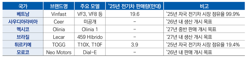 주요 신흥국의 자체 전기차 브랜드 현황. 한국자동차연구원 제공.