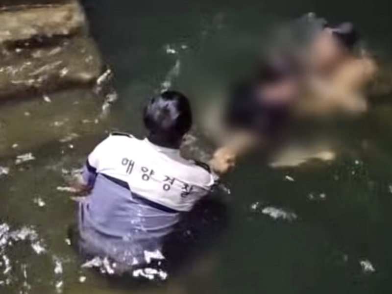30일 오후 11시 6분께 경남 창원시 마산합포구 진동면 광암함 인근 해상에서 해경이 바다에 빠진 30대 남성을 구조하고 있다. /사진=연합뉴스