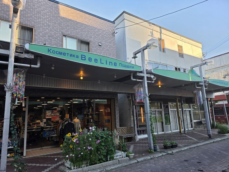 왓카나이 항구도시의 러시아 거리 (출처=연합뉴스)