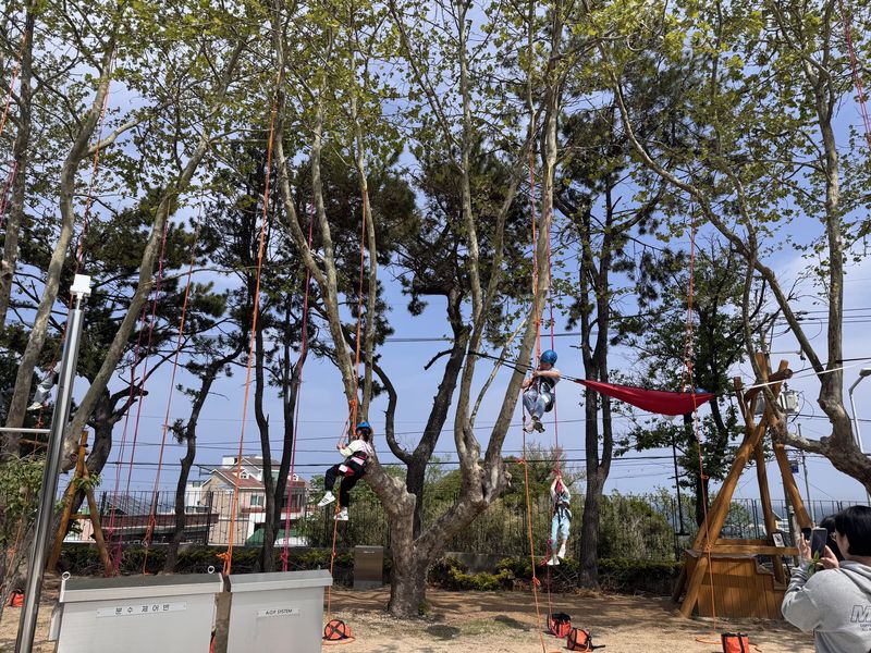 [울산=뉴시스] 울산어린이독서체험관에서 나무놀이를 하는 학생들(사진=울산시교육청 제공) photo@newsis.com *재판매 및 DB 금지