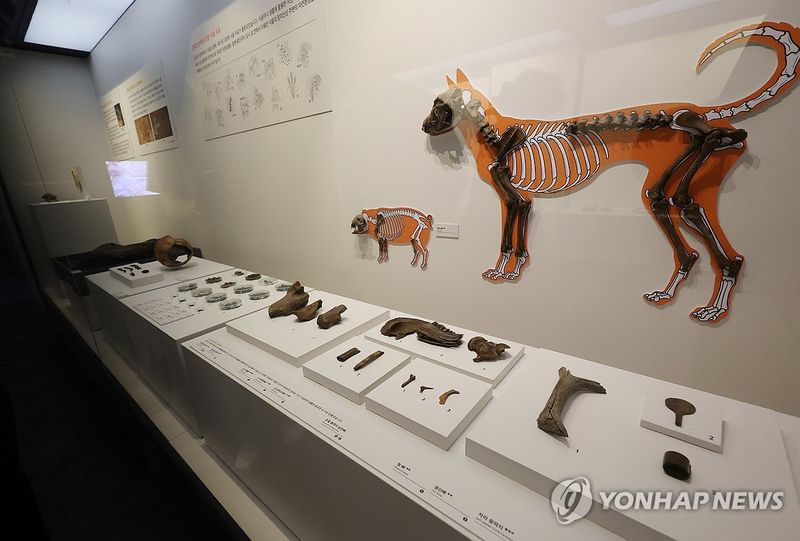 1600년 전 백제인이 쓴 생활유물 (출처=연합뉴스)