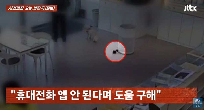 [서울=뉴시스]휴대폰 매장을 찾은 한 견주가 반려견의 배변 봉투를 매장에 그대로 두고 떠난 모습이 공개돼 황당함을 자아냈다. (사진=JTBC '사건반장' 캡처) 2026.09.01