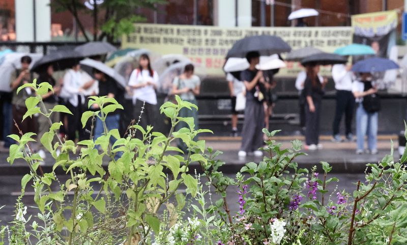중부지방을 중심으로 돌풍을 동반한 비가 내린 1일 오전 서울 종로구 광화문광장 일대에서 시민들이 우산을 쓴 채 발걸음을 옮기고 있다. 기상청은 이날 서울과 경기 일부 지역에 5~40㎜의 비가 내릴 것으로 예보했다. 2026.9.1 ⓒ 뉴스1 이종수 기자