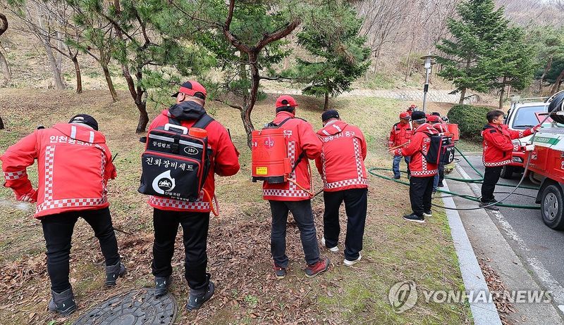 산불진화대원들의 산불 진압 훈련 (출처=연합뉴스)