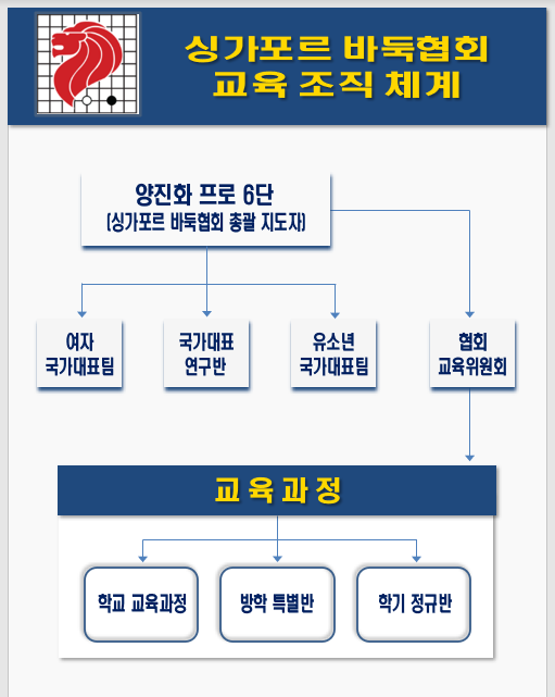 국제금융의 중심 싱가포르, 이제 바둑에도 눈을 돌리다[세계바둑산책⑭]