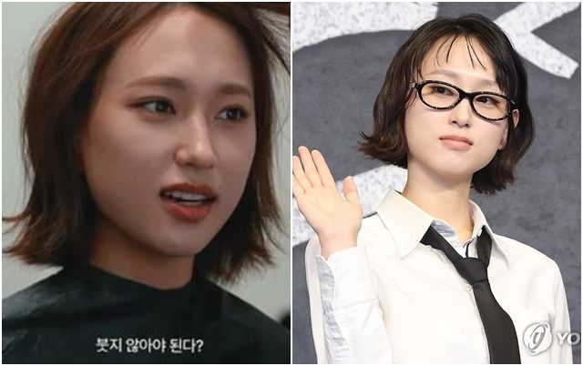 사진=유튜브 채널 '류혜영레몬과밀치회', 연합뉴스