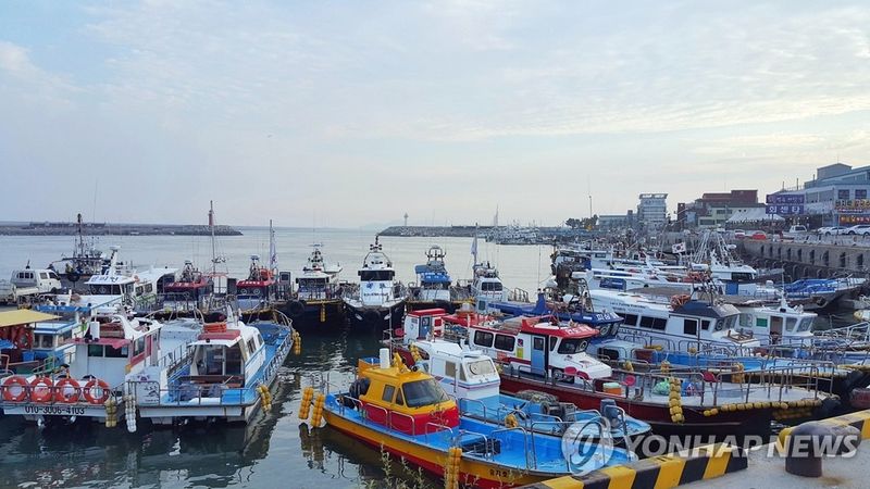군산 비응항에 대기 중인 낚싯배들 (출처=연합뉴스)