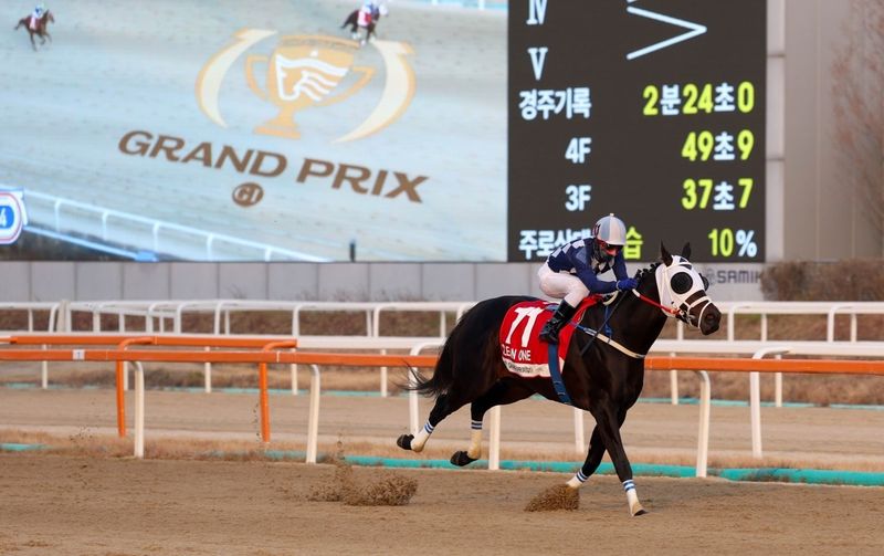코리아컵에 출전하는 클린원 (출처=연합뉴스)