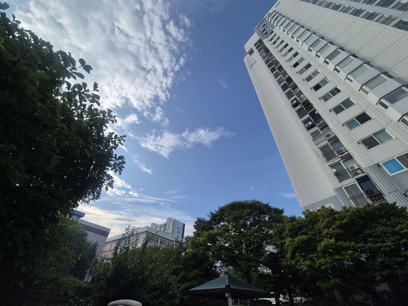 "여보, 우리 애 그 초등학교 보낼 거야?" 부부의 '영끌 학군지' 잔혹사