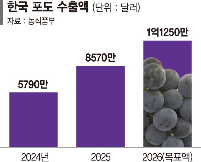 신선농산물 해외 공략 확대… 포도 수출 1억弗로 키운다