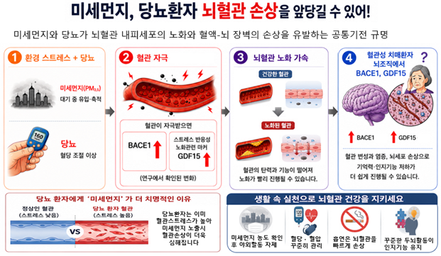 질병청 "당뇨 있으면 초미세먼지에 따른 뇌혈관 손상 더 클 수 있어"