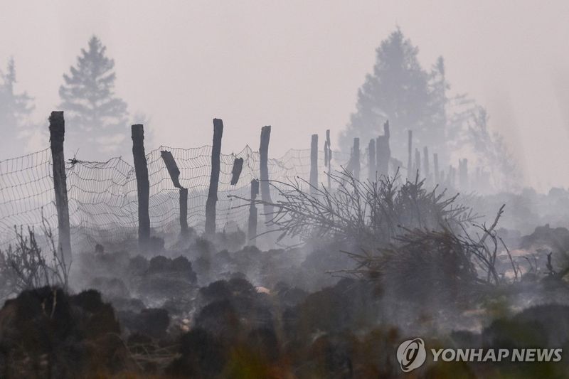 벨기에 산불. 사진=연합뉴스