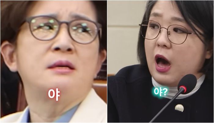 /사진=용혜인 유튜브 캡처