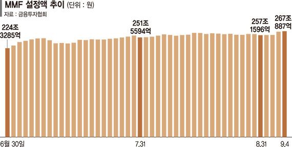 증시 불안에 갈 곳 잃은 자금 MMF에 두달새 42조 몰렸다
