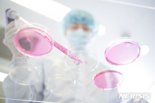 연구진의 신약개발 실험 이미지. 뉴시스
