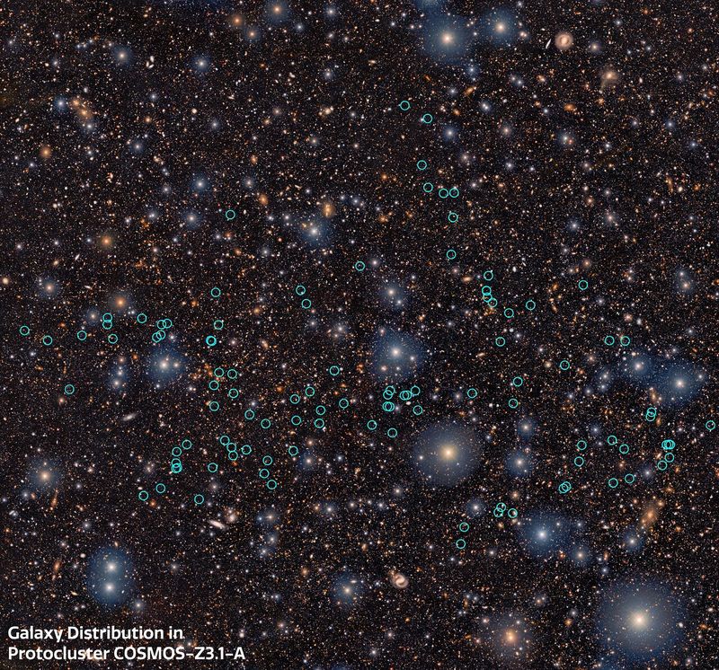 [서울=뉴시스] 윤현성 기자 = 새로 발견된 원시 초은하단(COSMOS-z3.1-A)에 속한 은하들을 표시한 이미지. 후속 분광 관측을 통해 측정한 정확한 거리 정보를 바탕으로, 해당 원시 초은하단에 포함되는 은하들을 하늘색 원으로 표시했다. (사진=한국천문연구원 제공) 2026.09.09. hsyhs@newsis.com *재판매 및 DB 금지