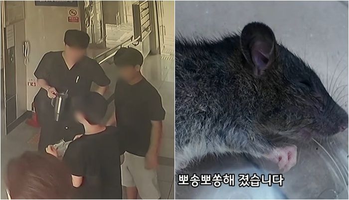 /사진='동행동물병원' 유튜브 캡처
