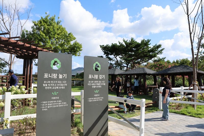 어린이 승마장 '포니 포레스트' 전경. 한국마사회 제공