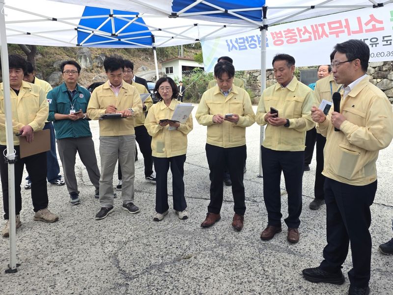 박은식 산림청장(맨 오른쪽)이 9일 대구 달성군 유가사 일원 소나무재선충병 방제 현장을 찾아 관계자들과 함께 피해 현황을 살피고 방제 전략을 논의하고 있다. 산림청 제공