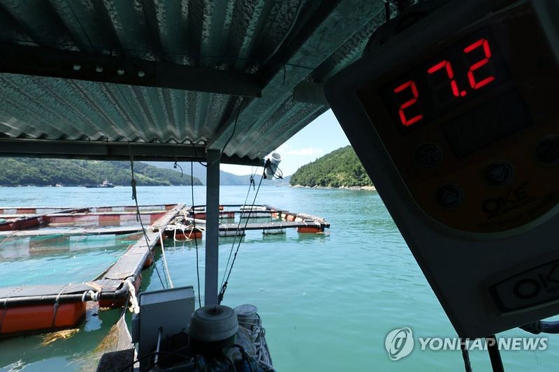 지난해 7월 펄펄 끓는 여수 양식장.사진=연합뉴스