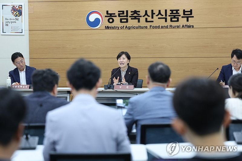 송미령 농식품부 장관 기자간담회 (출처=연합뉴스)