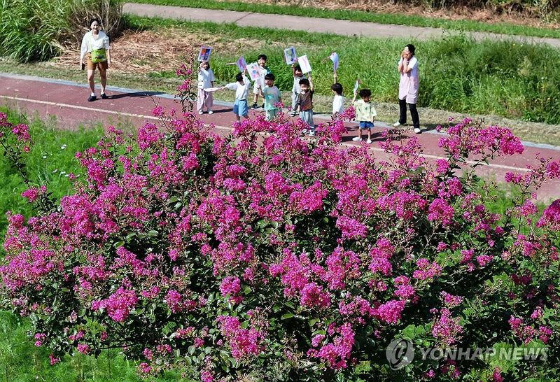 가을맞이 야외학습 (출처=연합뉴스)