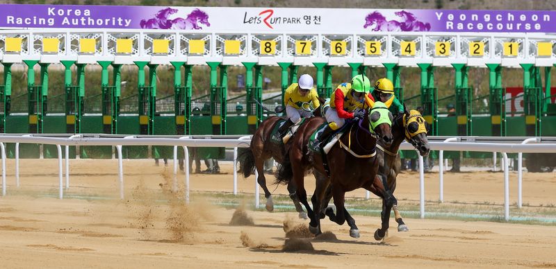 [영천=뉴시스] 이무열 기자 = 13일 경북 영천시 렛츠런파크 영천에서 열린 개장식에서 개장 기념 경주가 펼쳐지고 있다. 경북권 첫 경마공원인 렛츠런파크 영천은 과천, 제주, 부산경남에 이어 국내에서 네 번째로 조성된 경마공원이다. 2026.09.13. lmy@newsis.com