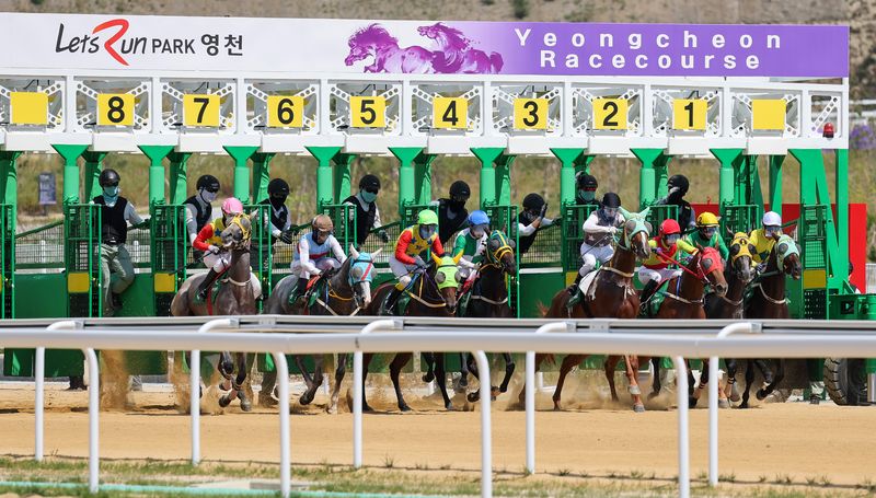 [영천=뉴시스] 이무열 기자 = 13일 경북 영천시 렛츠런파크 영천에서 열린 개장식에서 개장 기념 경주가 펼쳐지고 있다. 경북권 첫 경마공원인 렛츠런파크 영천은 과천, 제주, 부산경남에 이어 국내에서 네 번째로 조성된 경마공원이다. 2026.09.13. lmy@newsis.com