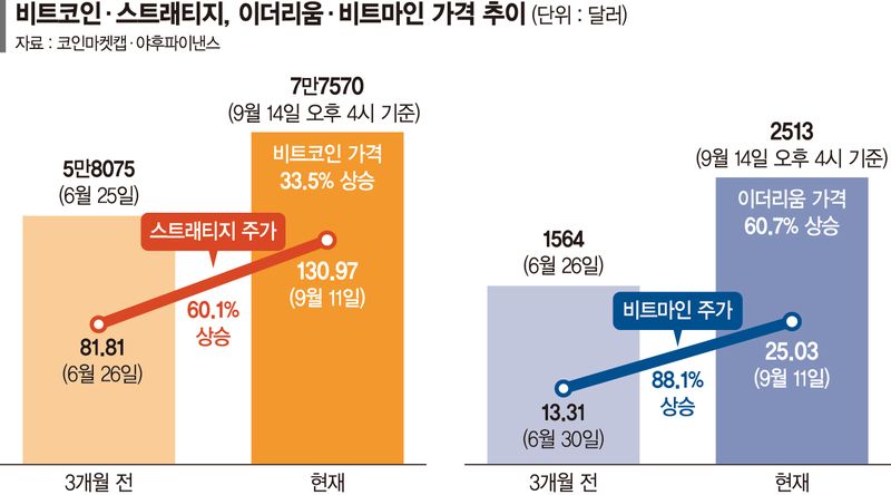 비트코인·이더리움 반등에 스트래티지·비트마인 주가 급등
