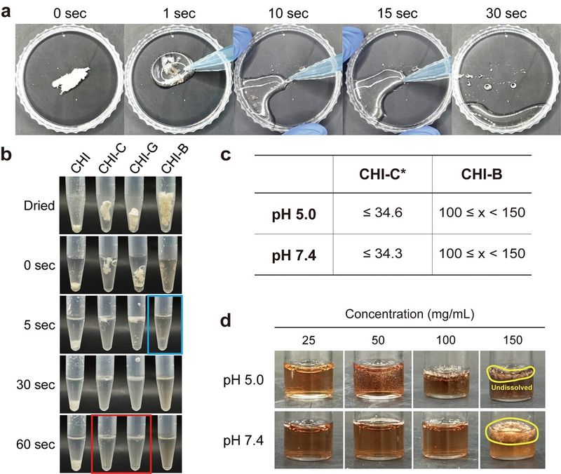 기존 폴리페놀 접합체(CHI-C, CHI-G) 대비 매우 빠른 수용해 특성을 나타낸 CHI-B. KAIST 제공